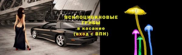 прущая мука Арсеньев