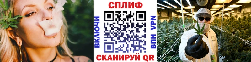 наркотики  Бирюч  KRAKEN рабочий сайт  Канабис Ganja 